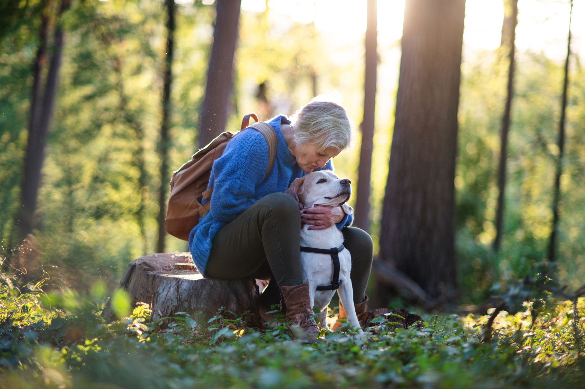 Dame koser med hunden sin i skogen. Foto